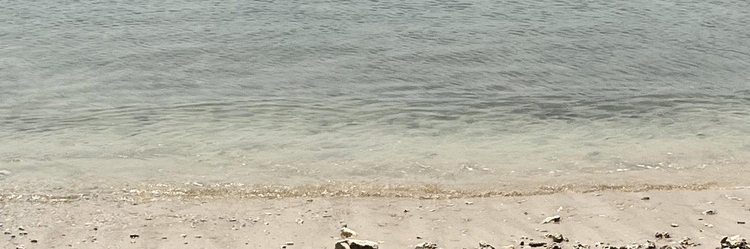 suciscw's profile banner image