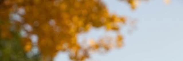 X | a• banner