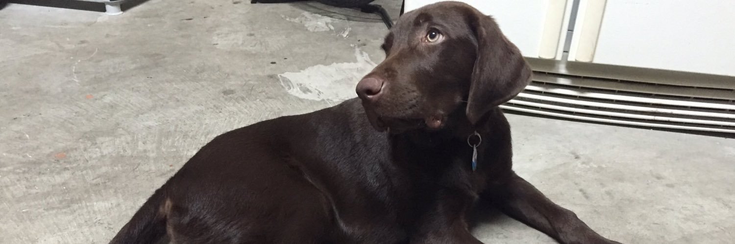 _Andy22's profile banner image