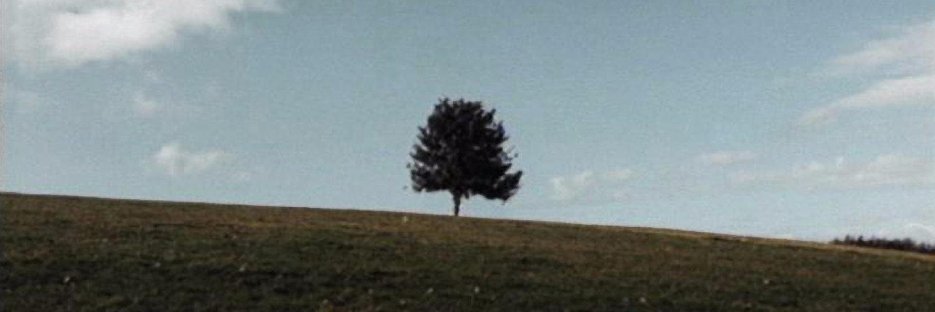 Gllmour's profile banner image