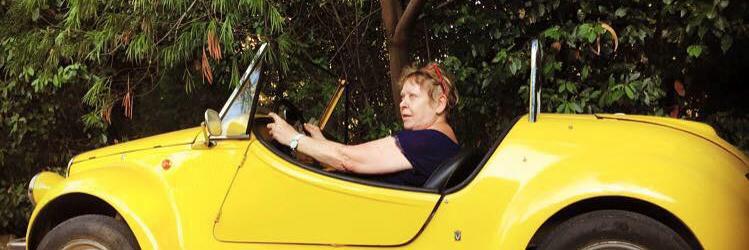 Studio Danielle banner