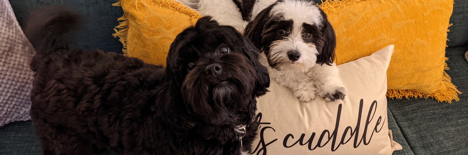 _petitcroissant's profile banner image