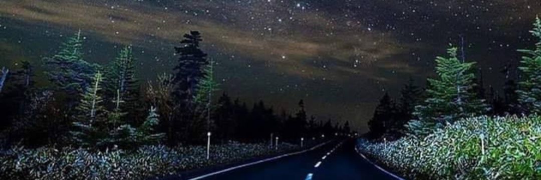 laparcerx_'s profile banner image