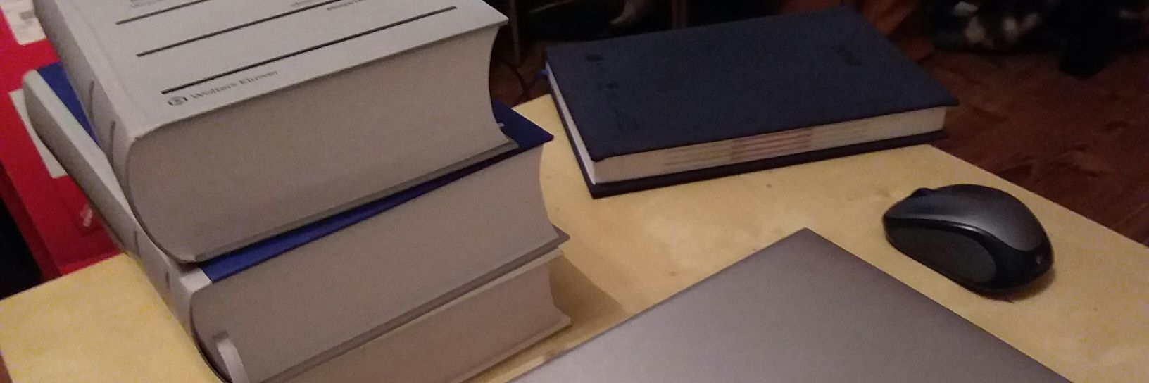 Piotr Sędłak banner