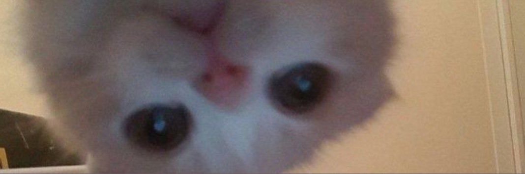 essquiin's profile banner image