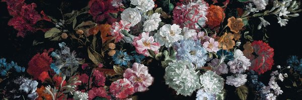 irritalin Profile Banner