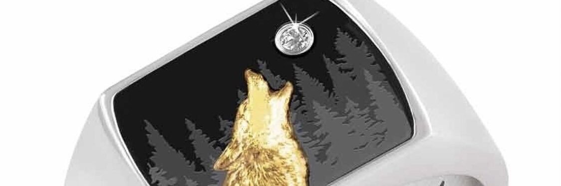 WERSaunders's profile banner image
