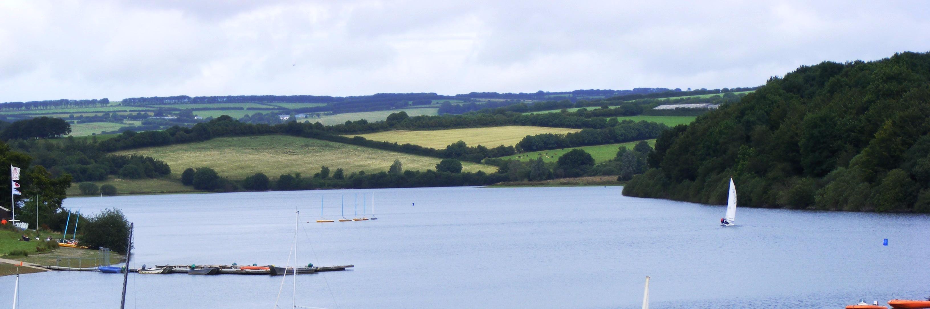duckwimbleball's profile banner image