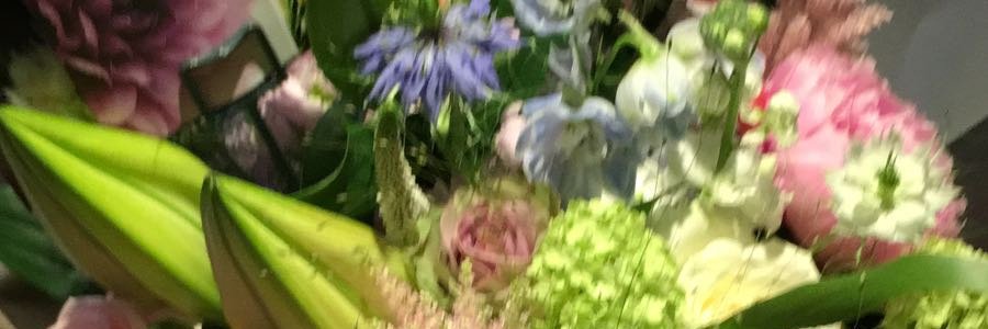 debsjhill's profile banner image