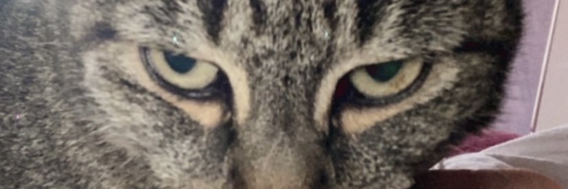 _ymord's profile banner image
