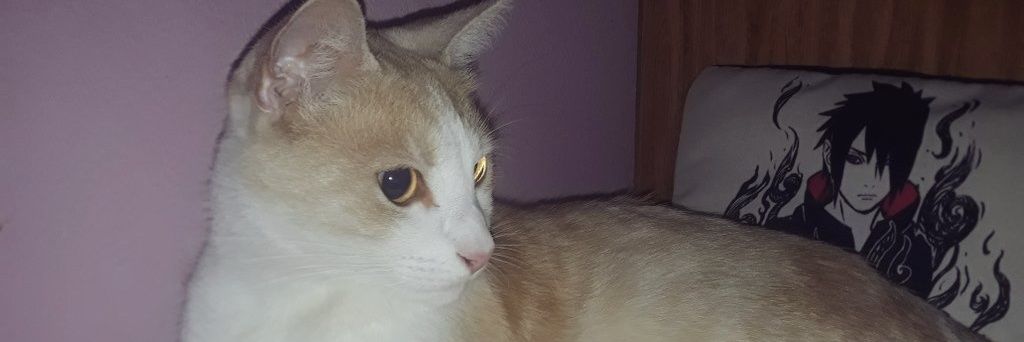 Coffe_96's profile banner image