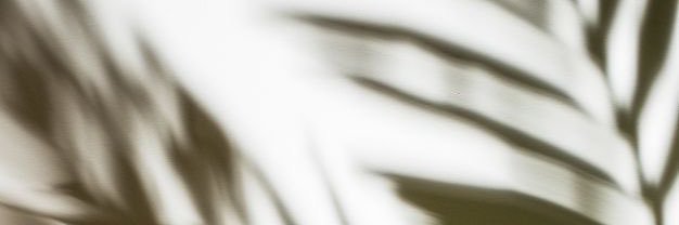 angelapc94's profile banner image