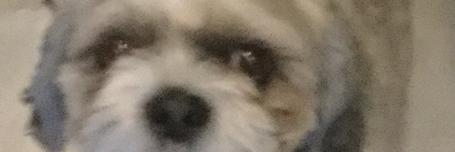 KimyraA's profile banner image