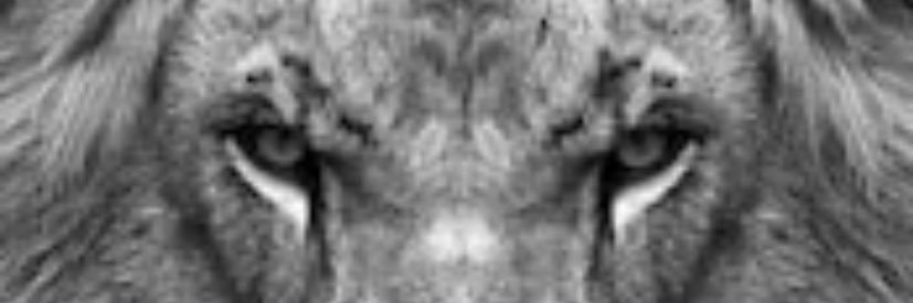 CPayne10500's profile banner image