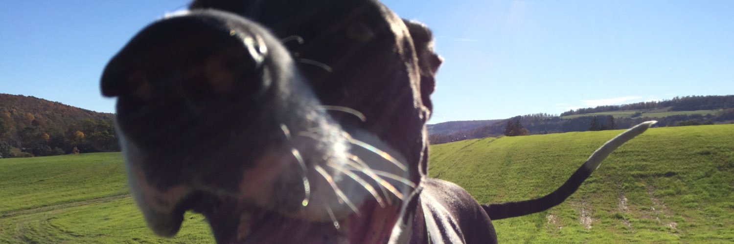 aj613_'s profile banner image