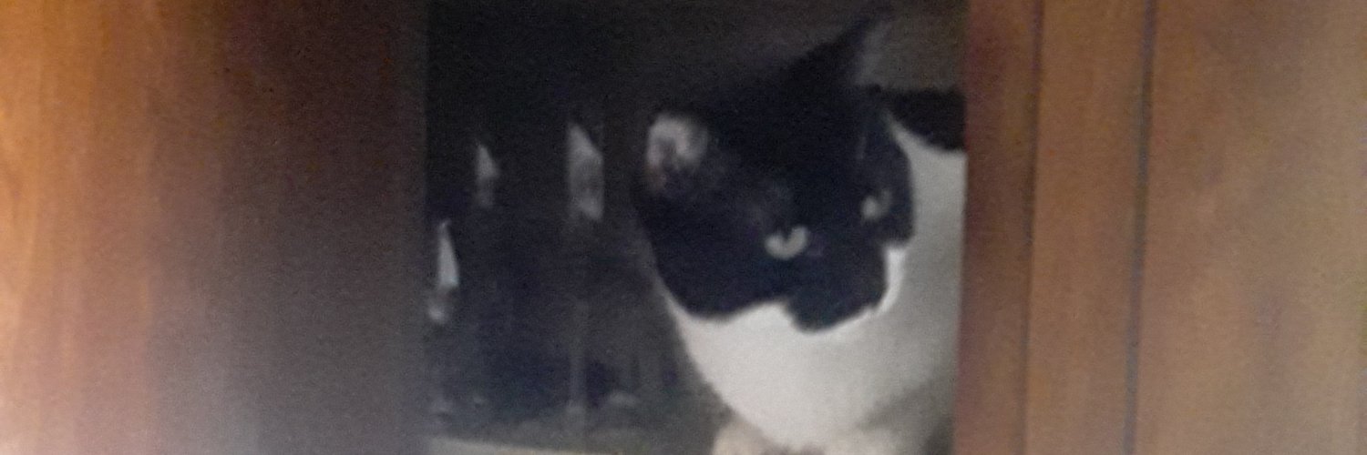wallyworlderca's profile banner image