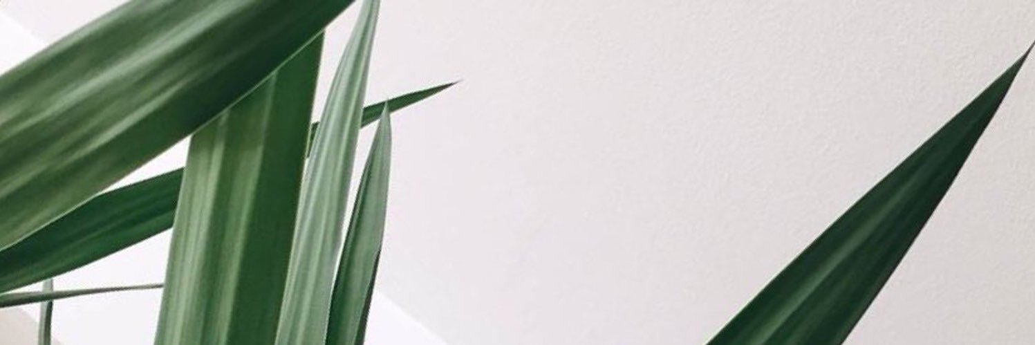 busraacak's profile banner image