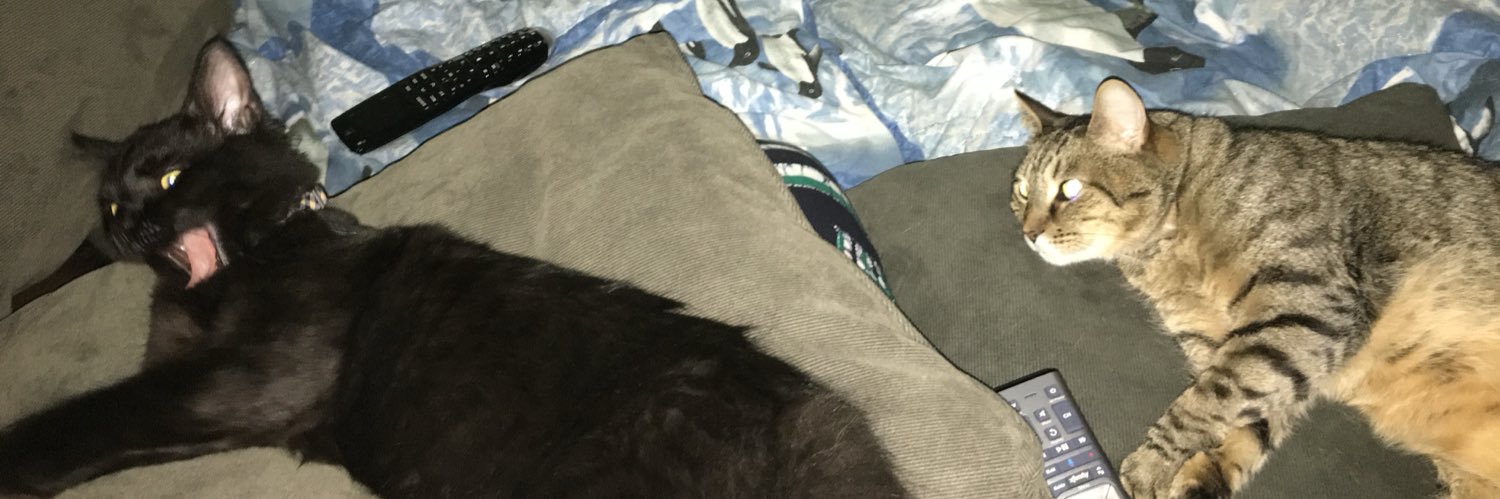 Shaysh banner