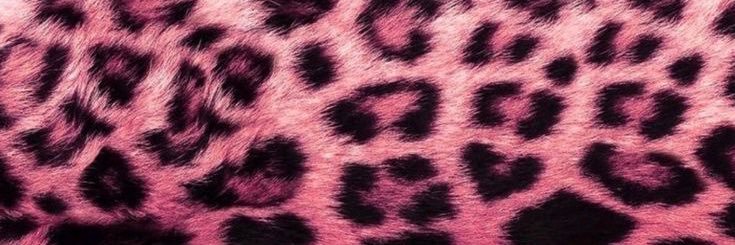 yasmr_'s profile banner image