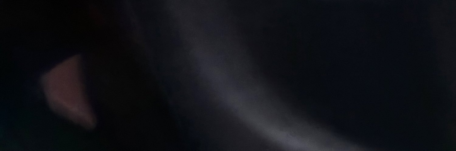 CEO_LEE1's profile banner image