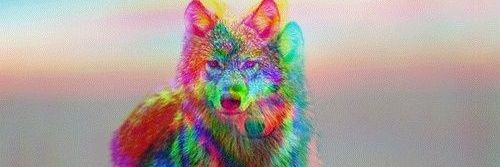 luxeluce631's profile banner image