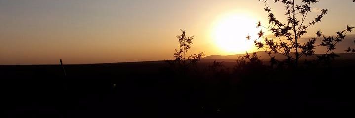 Nickson_Muli's profile banner image