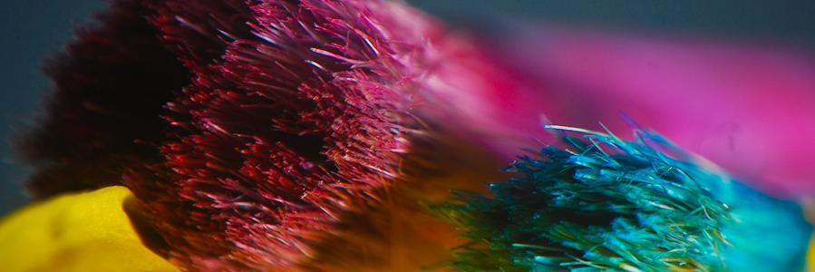 SonderArts's profile banner image