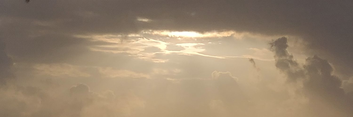 tanvisavla's profile banner image