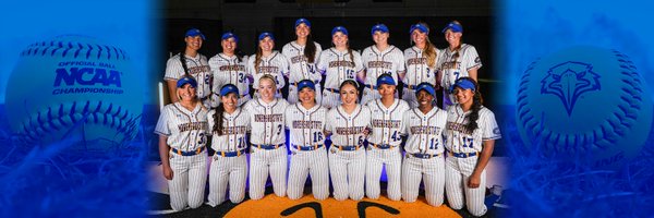 MSUEaglesSB Profile Banner