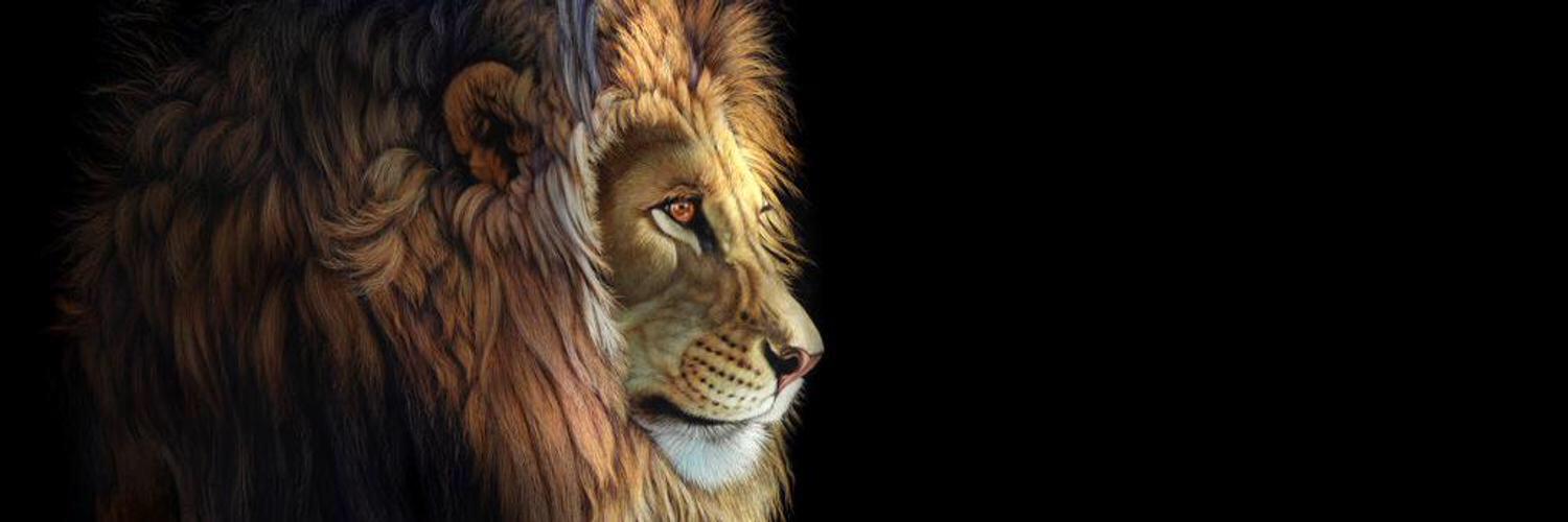 ABU_ALBRA44's profile banner image