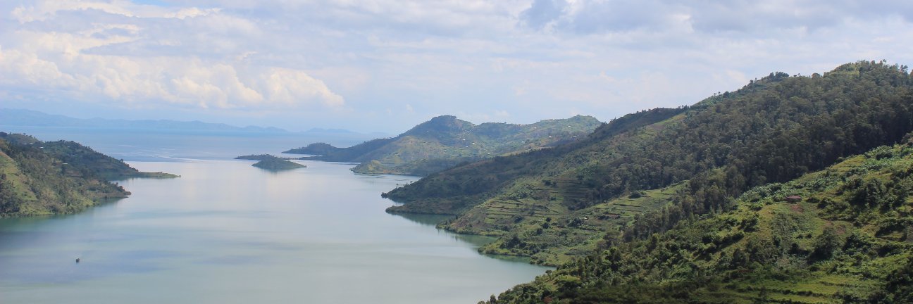 RwandaTradingCo's profile banner image