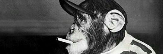 shimotarou's profile banner image