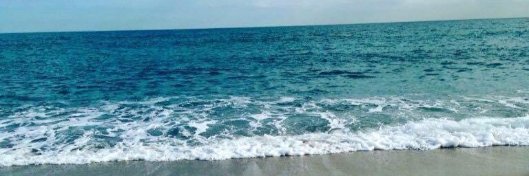 LaliDochiia's profile banner image