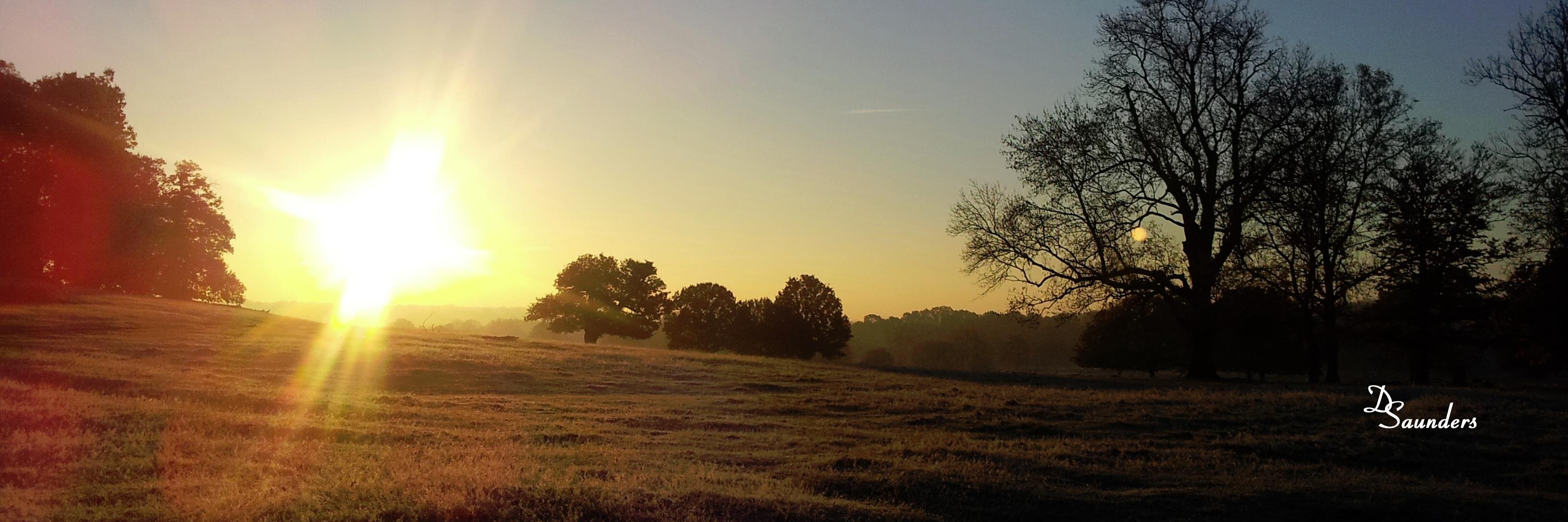 Daniel Saunders banner