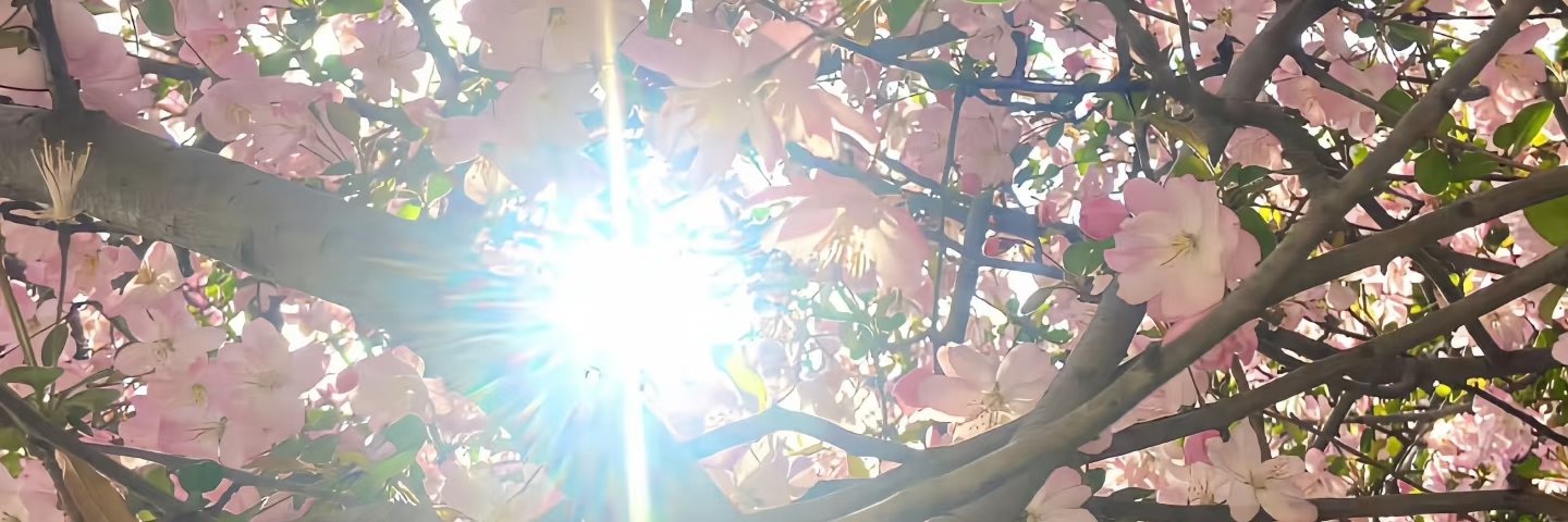 HarryRPGSAME's profile banner image