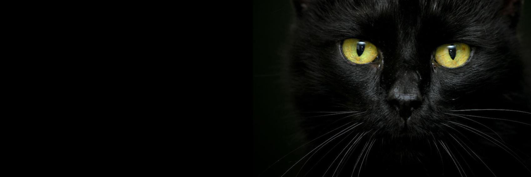 mastorn666's profile banner image