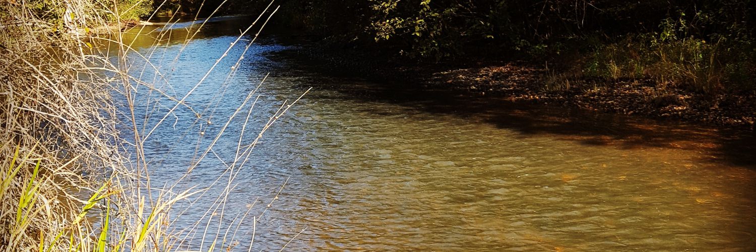 muddlight21's profile banner image