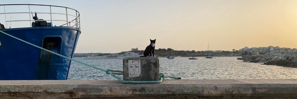 jamieallen Profile Banner