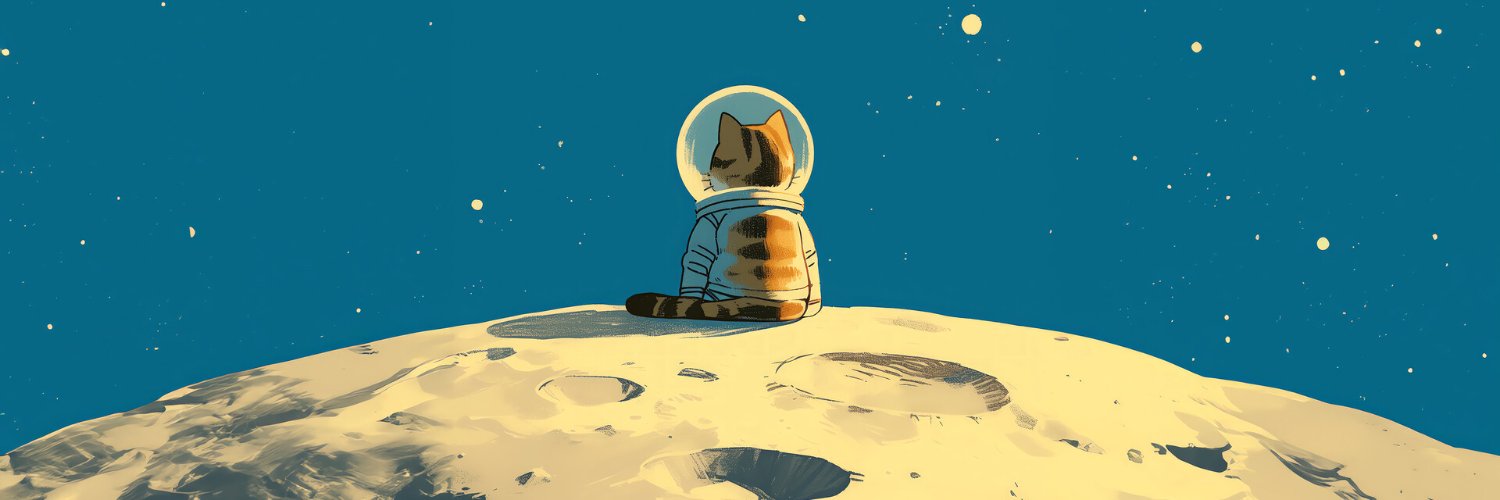 phaoolacifhuent's profile banner image