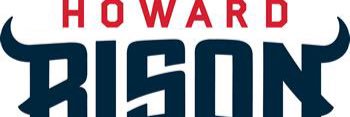 Bleed Blue banner