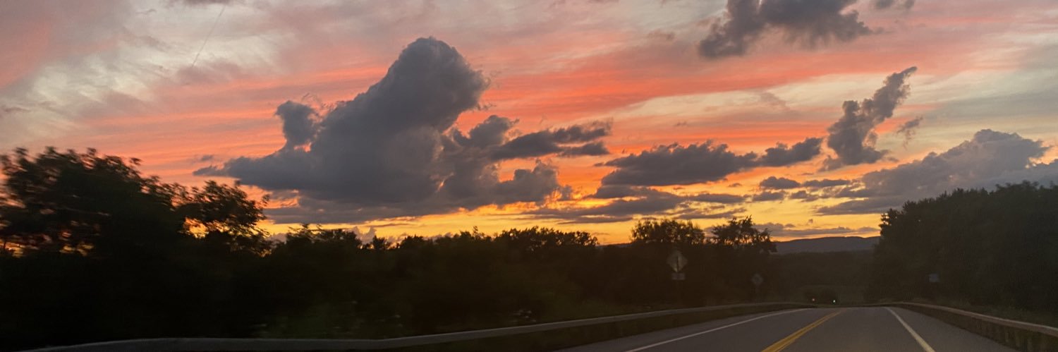 sandygonyea's profile banner image