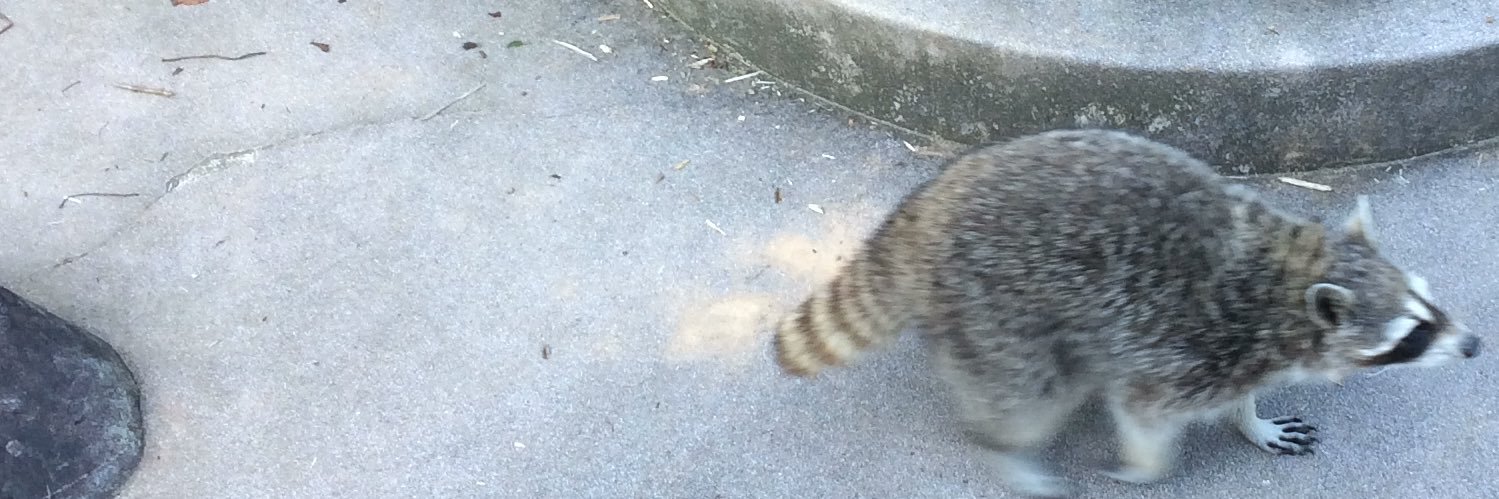 むつぎはじめ banner