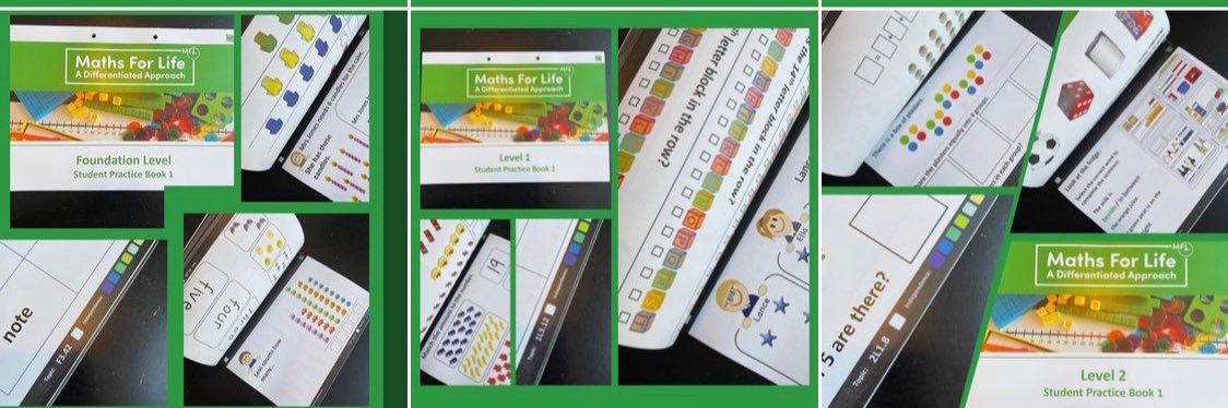 Karen McGuigan banner