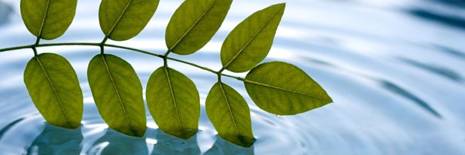 Life_Mova's profile banner image