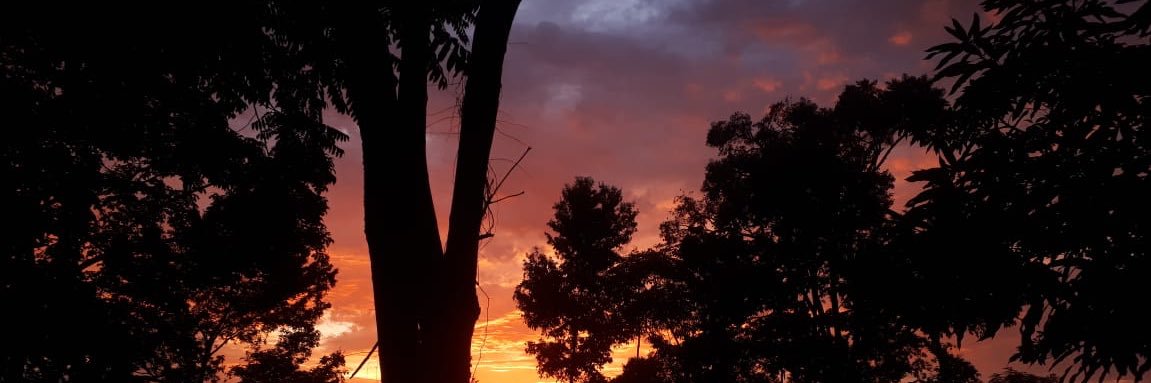 Danielaardma's profile banner image