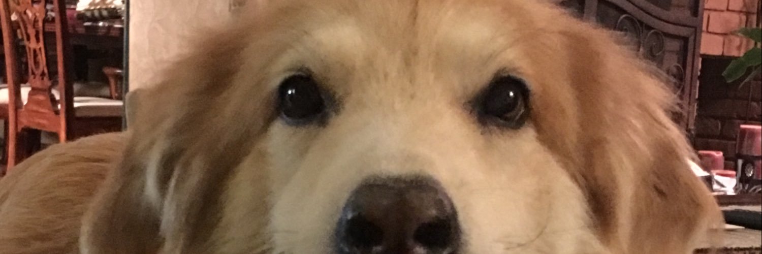 BethProko's profile banner image