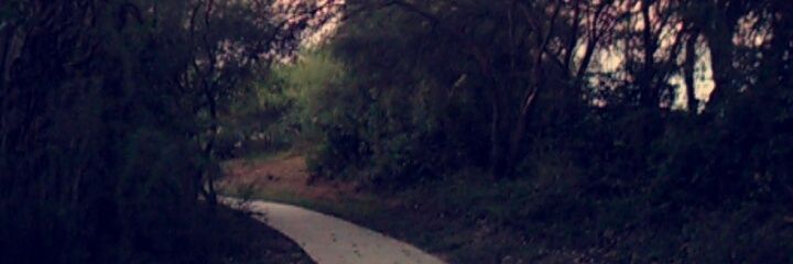 RiahRollin's profile banner image