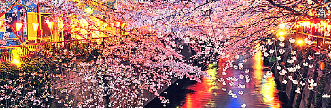 Ms_WM2's profile banner image