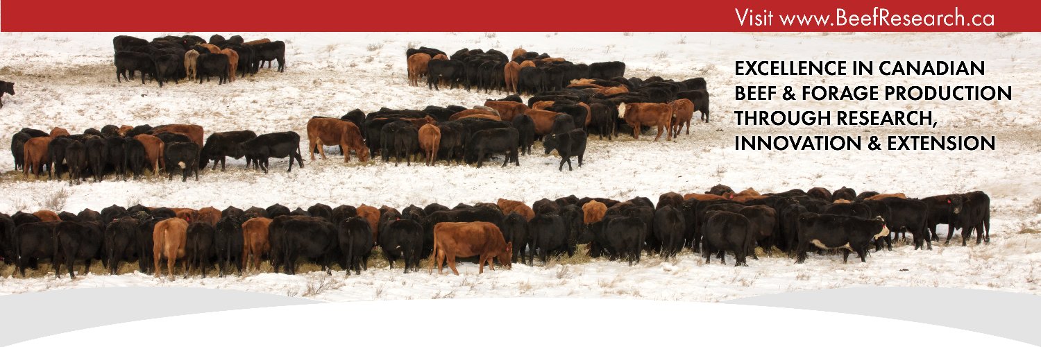 Beef Cattle Research Council banner