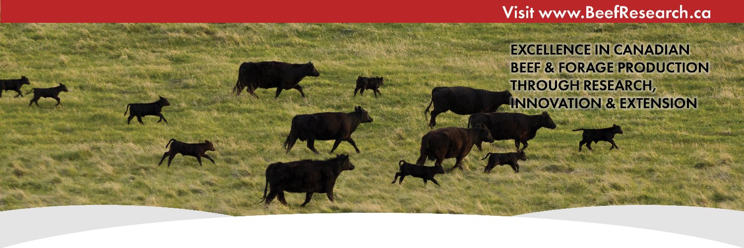 Beef Cattle Research Council banner